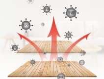 装修后除甲醛采用哪些技术效果更理想